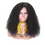 Kinky Curly Lace Frontal Wig